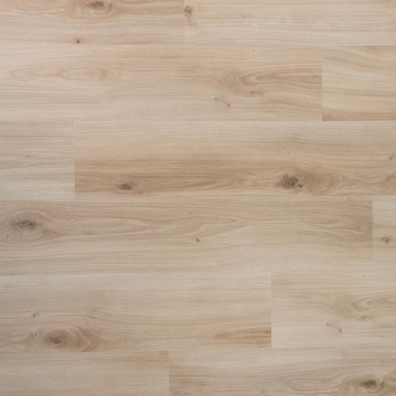 DD Plank Gember - 19