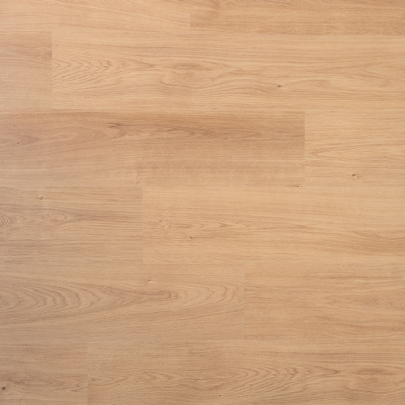 DD Plank Nootmuskaat - 19